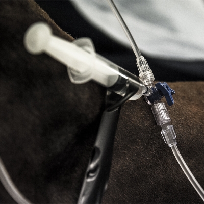 Anesthesia