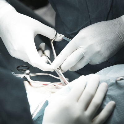 Surgery