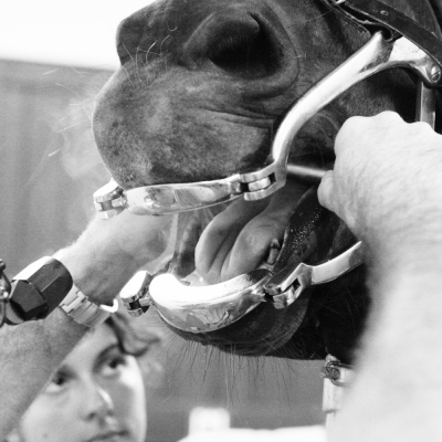 Dental exam
